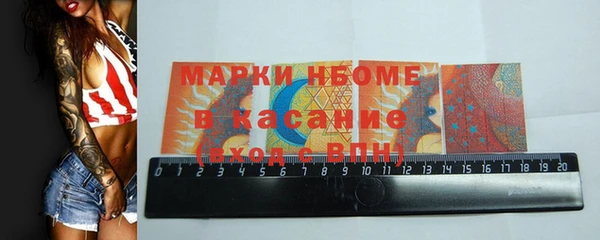 хмурый Осинники