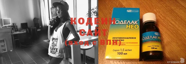 хмурый Осинники