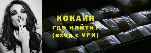 хмурый Осинники