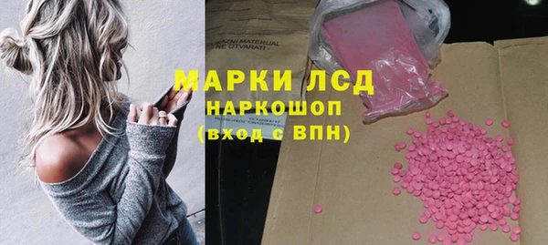 ГАЛЛЮЦИНОГЕННЫЕ ГРИБЫ Апатиты