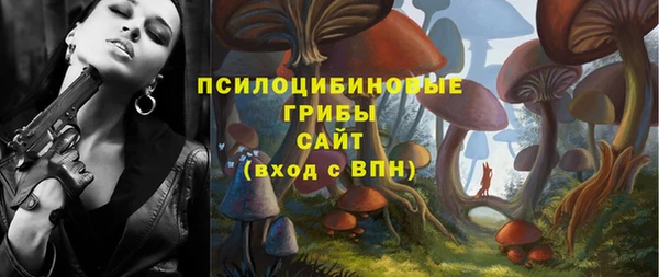 mdpv Осташков